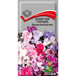 ������ ������ �������� ������� ������ ������� ����   ����