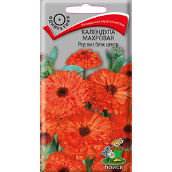 ������ ������ ��������� �������� ��� ��� ���� �����   ����