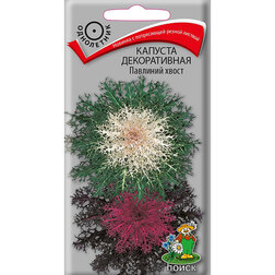 ������ ������ ������� ������������ �������� �����   ����