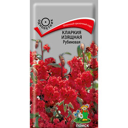 ������ ������ ������� ������� ���������   ����