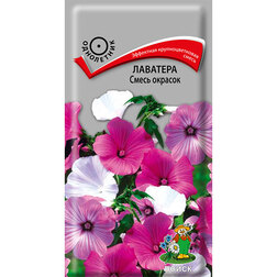 ������ ������ �������� ����� �������   ����