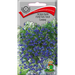 ������ ������ ������� ��������� ������   ����