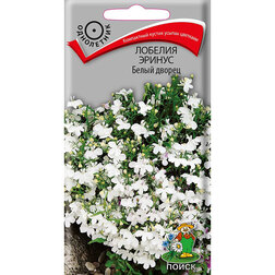 ������ ������ ������� ������ ����� ������   ����