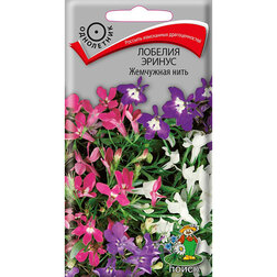 ������ ������ ������� ������ ��������� ����   ����