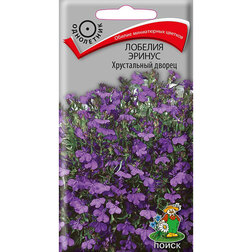 ������ ������ ������� ������ ����������� ������   ����