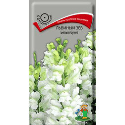 ������ ������ ������� ��� ����� �����   ����