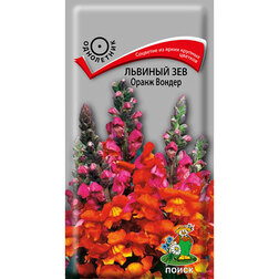 ������ ������ ������� ��� ����� ������   ����