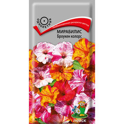 ������ ������ ��������� ������� ������   ����