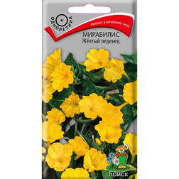 ������ ������ ��������� Ƹ���� �������   ����