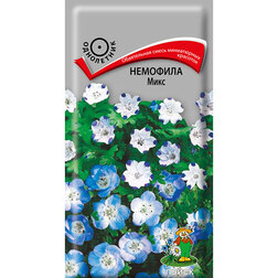 ������ ������ �������� ����   ����