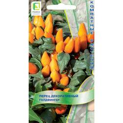 ������ ������ ����� ������������ ����������   ����