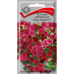 ������ ������ ������� ��������� ������ ���������   ����