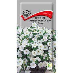 ������ ������ ������� ��������� ����� �����   ����