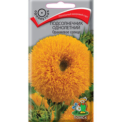 ������ ������ ������������ ���������� ��������� ������   ����