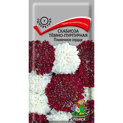 ������ ������ �������� ����-��������� ��������� ������   ����