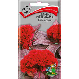 ������ ������ ������� ����������� �����������   ����