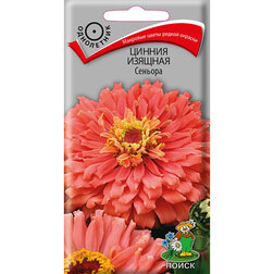 ������ ������ ������ ������� �������   ����