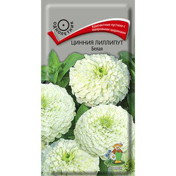 ������ ������ ������ �������� �����   ����