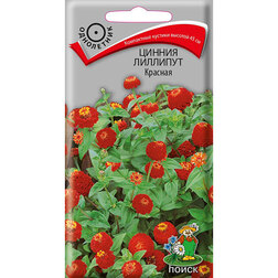 ������ ������ ������ �������� �������   ����