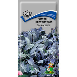 ������ ������ ������ ���������� ������ ����   ����