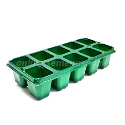 ������ ������ ������� 10� Modiform �������   ����