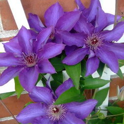 ������ ������ �������� ��������������� ���������   ����