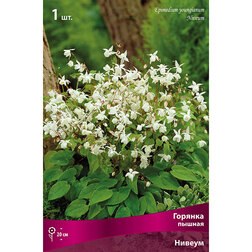 ������ ������ ������� ������ ������   ����