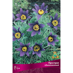 ������ ������ ������� ��������� (������������)   ����