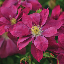 ������ ������ �������� ��������������� ��� ����   ����