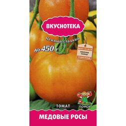 ������ ������ ����� ������� ���� (����������)   ����