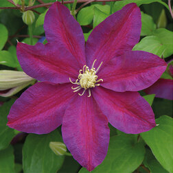 ������ ������ �������� ��������������� ������   ����