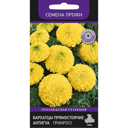 ������ ������ �������� ������������ ������� �������� (������ �����)   ����