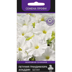 ������ ������ ������� ����������� ������ ����� (������ �����)   ����