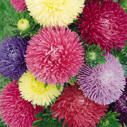 ������ ������ ����� ���� ���� (1 ��-1000��) ���������������� ������   ����