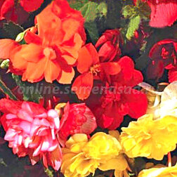 ������ ������ ������� ��������� ������ ����� (1 ��-1000�����) ���������������� ������   ����