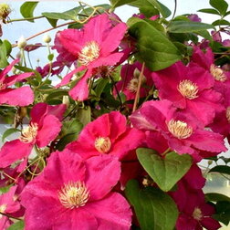 ������ ������ �������� ��������������� ������ ������   ����