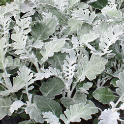 ������ ������ ��������� ���������� (1��-10 000��) ���������������� ������   ����