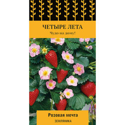 ������ ������ ��������� ������� ����� (������ ����)   ����