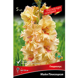 ������ ������ �������� ���������� ���� ��������� (5 ��.)   ����