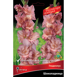 ������ ������ ��������� ����������� (5 ��.)   ����