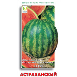 ������ ������ ����� ������������   ����