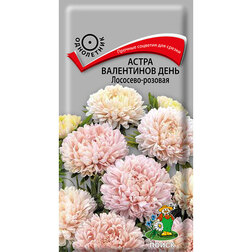 ������ ������ ����� ���������� ���� �������� -�������   ����