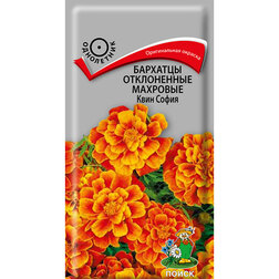 ������ ������ �������� ����������� �������� ���� �����   ����