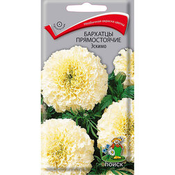 ������ ������ �������� ������������ ������   ����