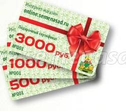 ������ ������ ���������� ���������� (������� 1500 �.)   ����