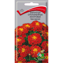 ������ ������ �������� ����������� �������� ���� �������   ����