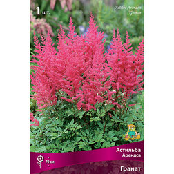 ������ ������ �������� ������� (������)   ����