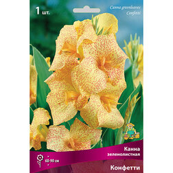 ������ ������ ����� ������������� ��������   ����