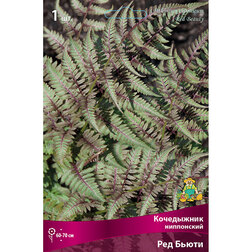 ������ ������ ���������� �������� ��� �����   ����