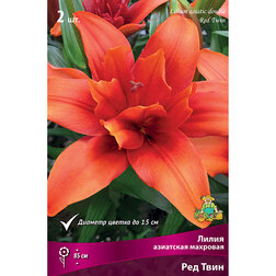 ������ ������ ����� ��������� �������� ��� ���� (2 ��.)   ����